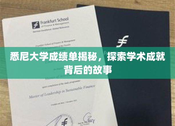解码悉尼辉煌，揭秘学术巅峰背后的真实成绩单