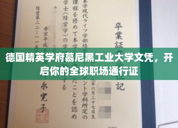 德国精英学府慕尼黑工业大学文凭，开启你的全球职场通行证