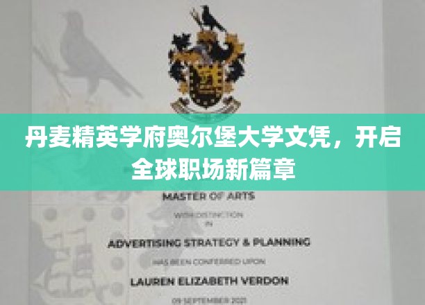 解锁国际职场新起点，奥尔堡大学文凭引领全球就业新潮流