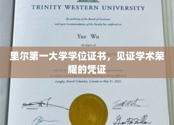 学位荣耀凭证，里尔第一大学颁发学术成就的见证证书