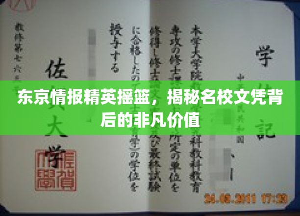 东京情报精英摇篮，揭秘名校文凭背后的非凡价值