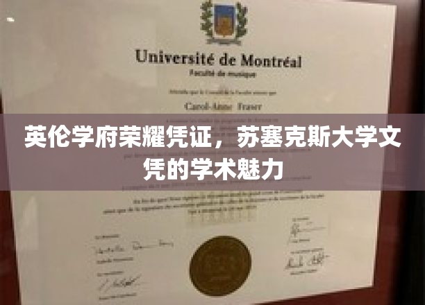 解码苏塞克斯，英伦学府的学术荣耀与文凭魅力