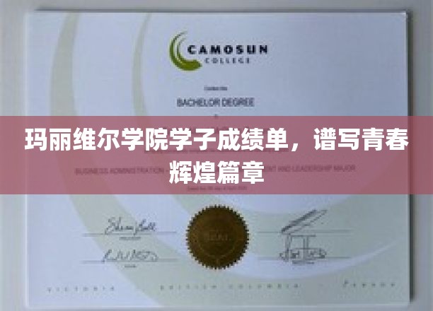 玛丽维尔学院学子成绩单，谱写青春辉煌篇章