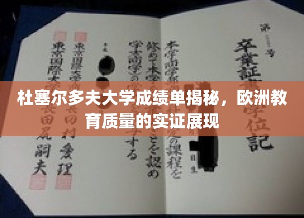 解锁杜塞尔多夫大学真实成绩单，揭秘欧洲教育品质之光