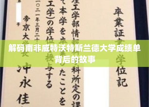 揭开南非威特沃特斯兰德大学成绩单的神秘面纱