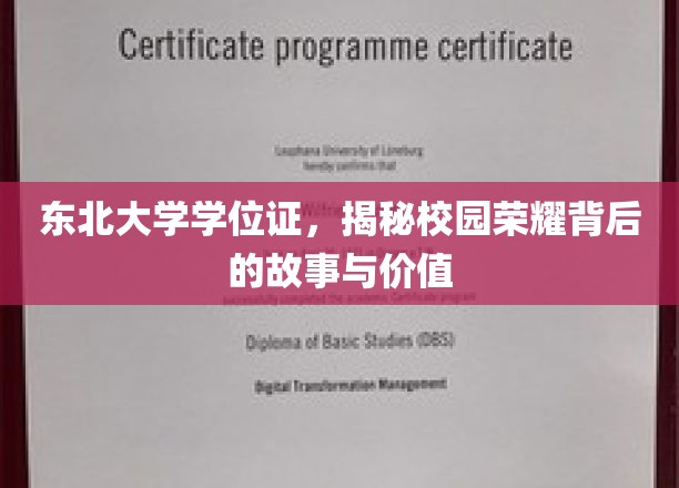 东北大学学位证，揭秘校园荣耀背后的故事与价值