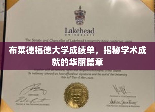布莱德福德荣耀纪，揭秘大学成绩单背后的学术璀璨