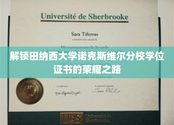 探寻田纳西大学诺克斯维尔分校荣耀学位的神秘钥匙