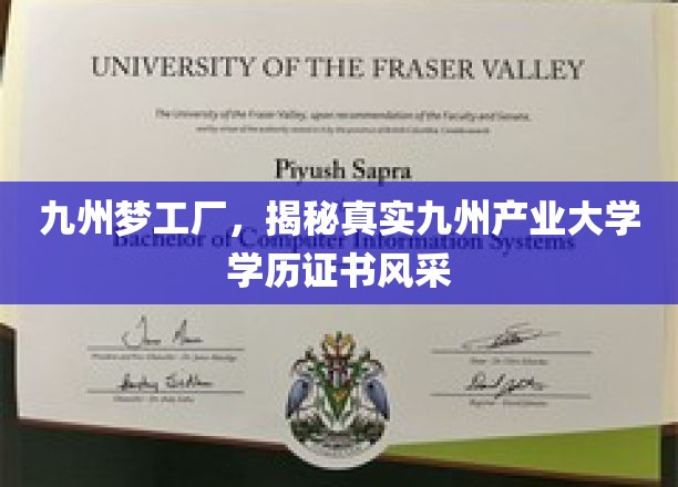 九州梦工厂，揭秘真实九州产业大学学历证书风采