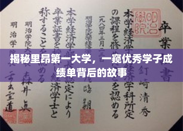探秘里昂第一大学，学霸们的成绩单背后，藏着怎样的努力与智慧？