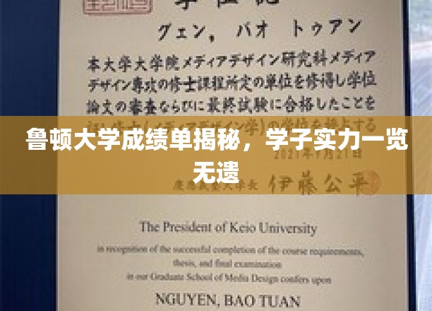 鲁顿大学成绩单揭秘，学子实力一览无遗