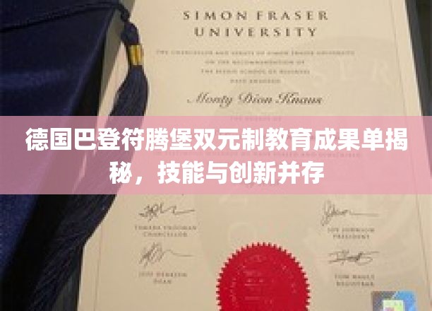 德国巴登-符腾堡双元制教育成果单揭秘，技能与创新并存