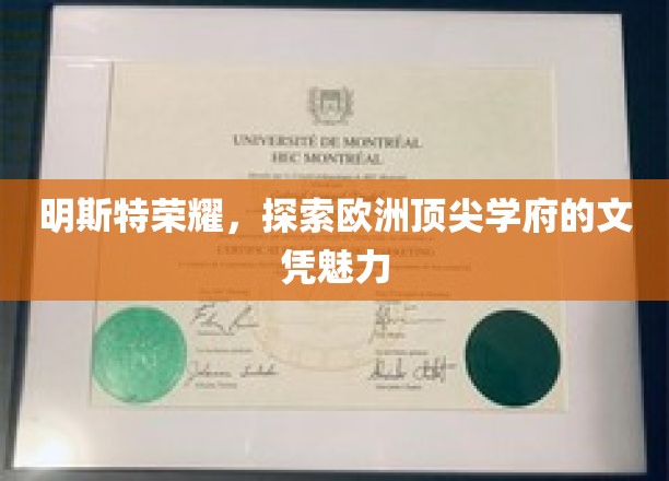 欧洲学府之光，明斯特荣耀背后的文凭奥秘