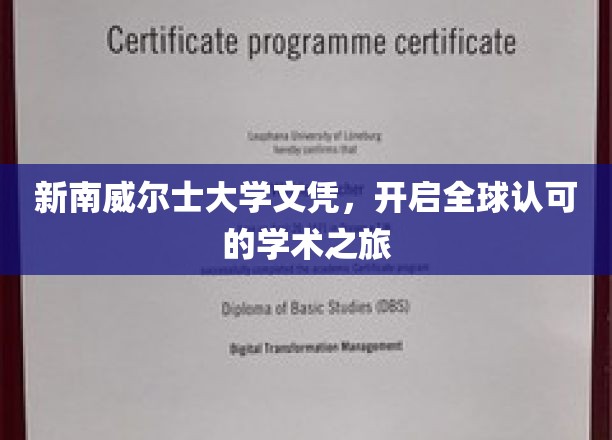 跨国学历新篇章，新南威尔士大学文凭引领国际学术视野