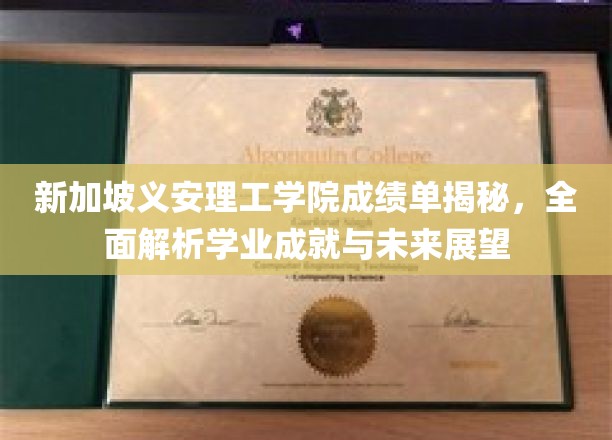新加坡义安理工学院成绩单背后的故事，揭秘学子成就与职业前景