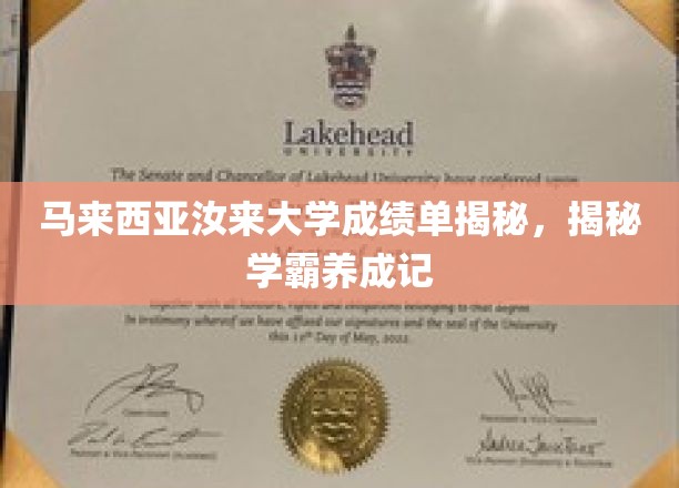 马来西亚汝来大学学霸之路，揭秘成绩单背后的秘密与奋斗历程