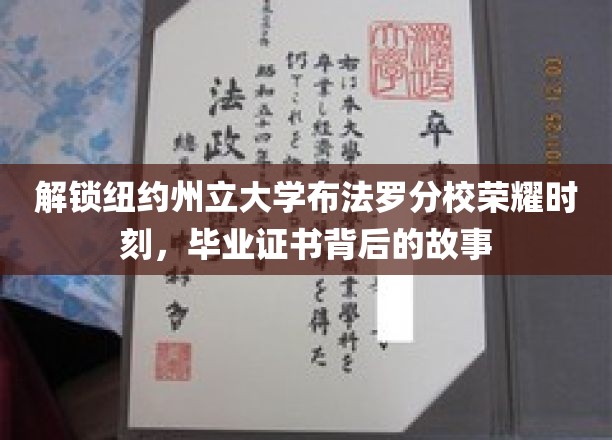 解锁纽约州立大学布法罗分校荣耀时刻，毕业证书背后的故事