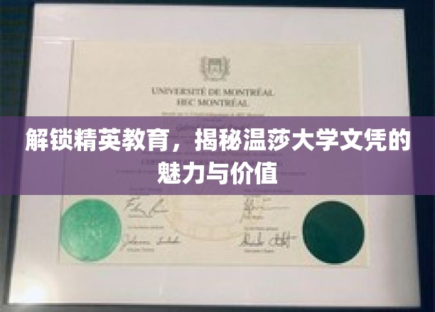 探寻温莎大学文凭的非凡魅力，揭秘精英教育的秘密宝藏