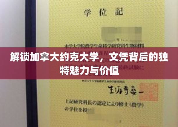 解锁加拿大约克大学：文凭的独特魅力与价值
