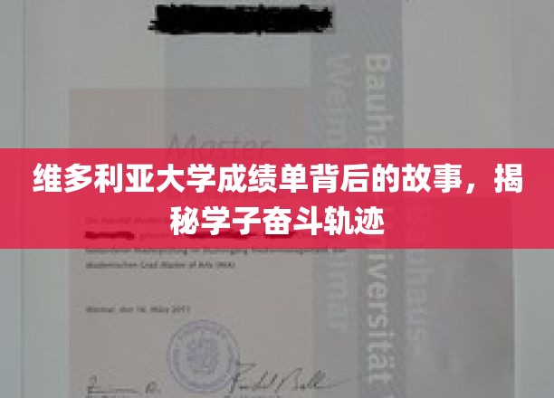 解码维大成绩单，学子奋斗轨迹的幕后传奇