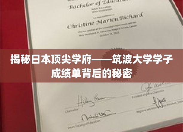 揭秘筑波大学精英学子，成绩单背后的卓越养成之道