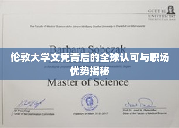 国际通行证，伦敦大学文凭如何铸就职场辉煌？