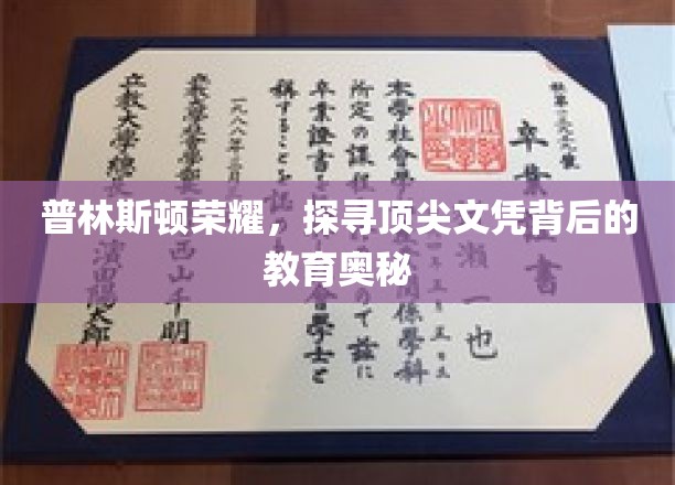解码普林斯顿，揭秘顶尖学府的教育秘境