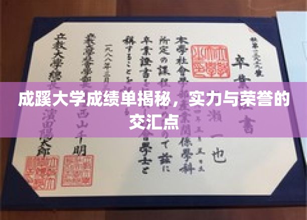 成蹊大学成绩单揭秘，实力与荣誉的交汇点