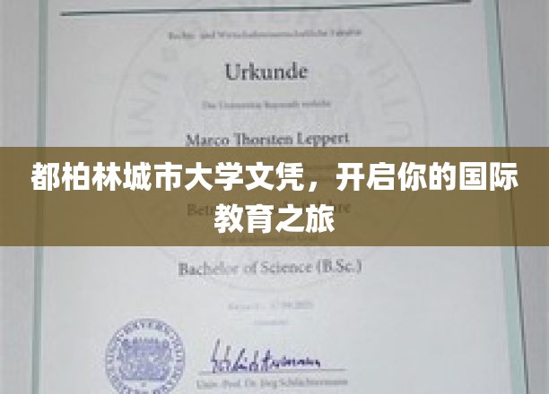 都柏林城市大学文凭，开启你的国际教育之旅