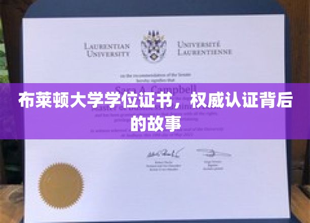 揭秘布莱顿大学学位证书，权威认证背后的传奇历程