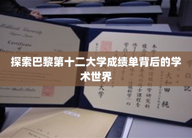 揭开巴黎第十二大学成绩单的学术奥秘之旅