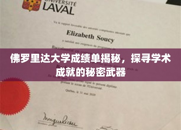 佛罗里达大学成绩单背后的学术奥秘大揭秘