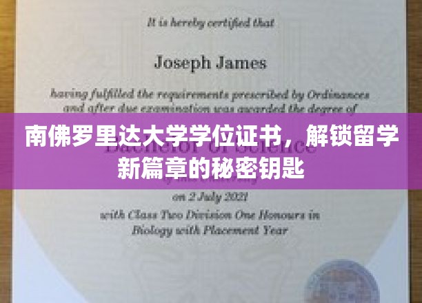 解锁留学新起点，南佛罗里达大学学位证书的神秘力量