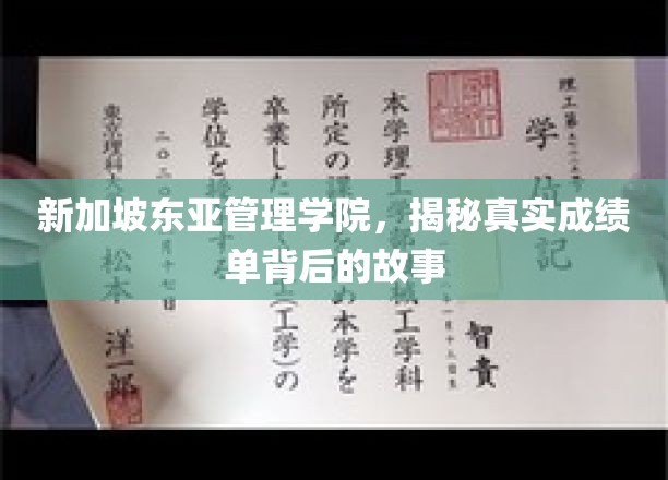 新加坡东亚管理学院，揭秘真实成绩单背后的故事