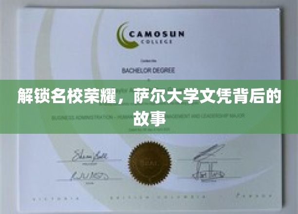 探寻萨尔大学荣耀，揭秘名校文凭背后的传奇历程