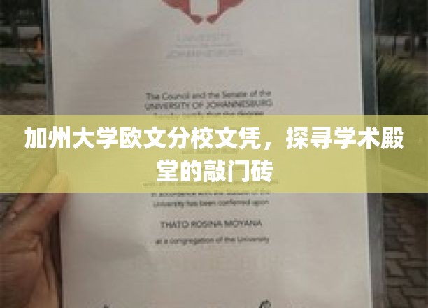 加州文凭之钥，解锁欧文分校学术之门