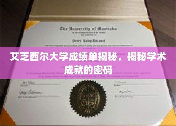 解码艾芝西尔大学，解锁学术卓越的秘密钥匙