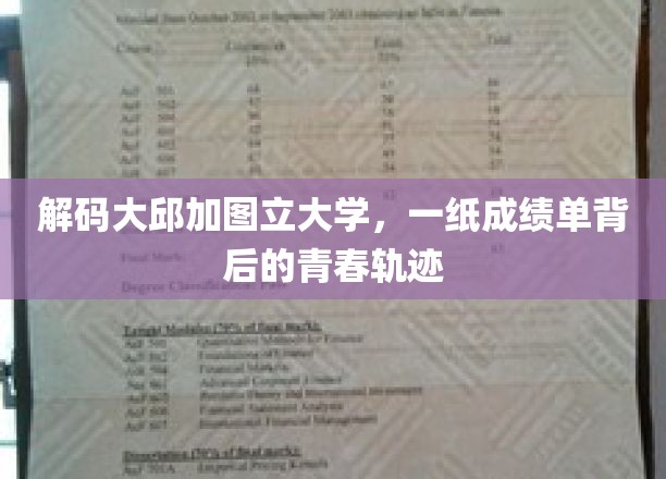 解码大邱加图立大学，一纸成绩单背后的青春轨迹