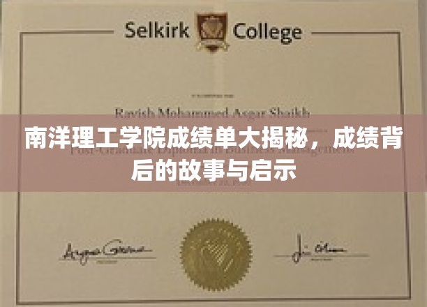 南洋理工学院成绩单背后，揭开学子奋斗与成长的秘密