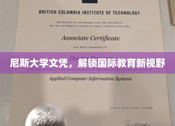 跨国学历通行证，尼斯大学文凭开启全球教育之门