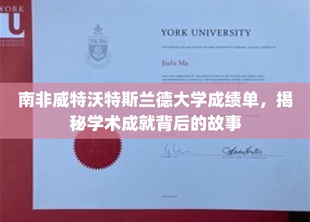 探寻南非威特沃特斯兰德大学学子辉煌成就背后的真实轨迹