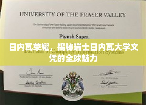 日内瓦荣耀，揭秘瑞士日内瓦大学文凭的全球魅力
