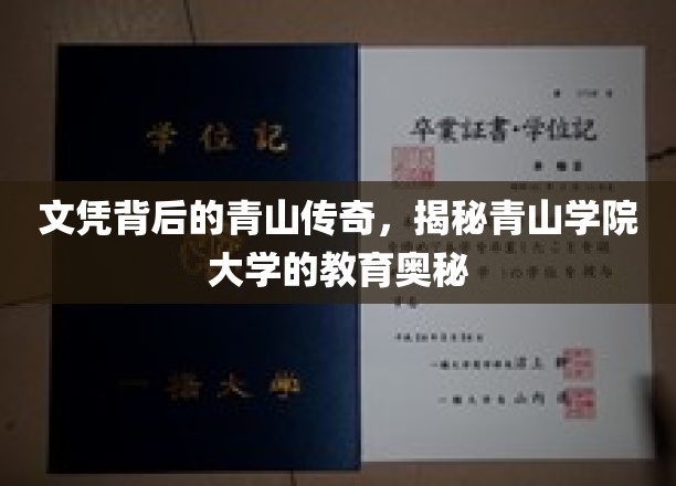 学府秘境，青山学院大学的文凭与教育奇观