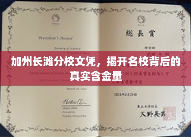 加州长滩分校学历揭秘，名校光环下的真实价值
