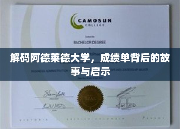 揭开阿德莱德大学成绩单的深层奥秘，探索背后的故事与成长启示