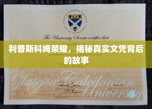 揭开利普斯科姆荣耀，文凭背后的不凡历程