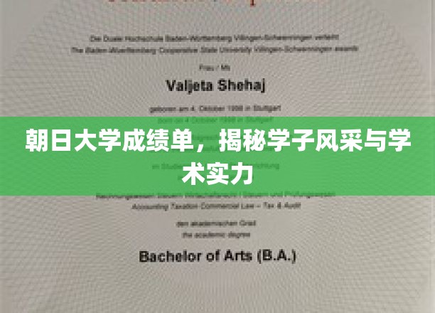 朝日大学成绩单，展现学子风采与学术实力