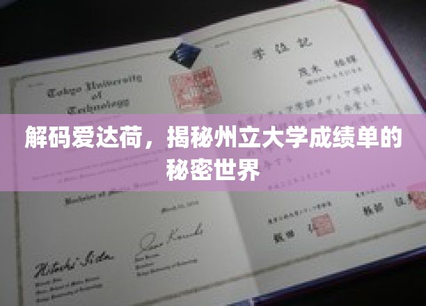 爱达荷州立大学成绩单背后的独特奥秘