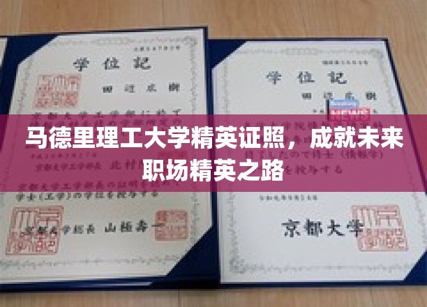 马德里理工大学精英证照，铺就未来职场精英之路