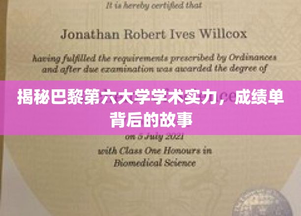 巴黎第六大学学术风采，探寻辉煌成绩背后的传奇历程